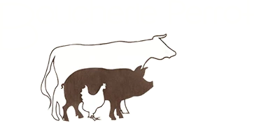 BOUCHERIE PERROT